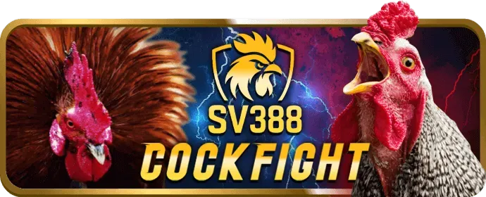 Hướng dẫn chi tiết các chương trình khuyến mãi Winbet88